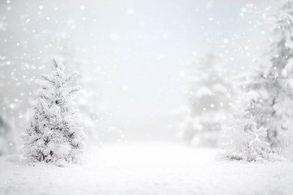 Hintergrund 154 für die Fotobox mit Greenscreen
